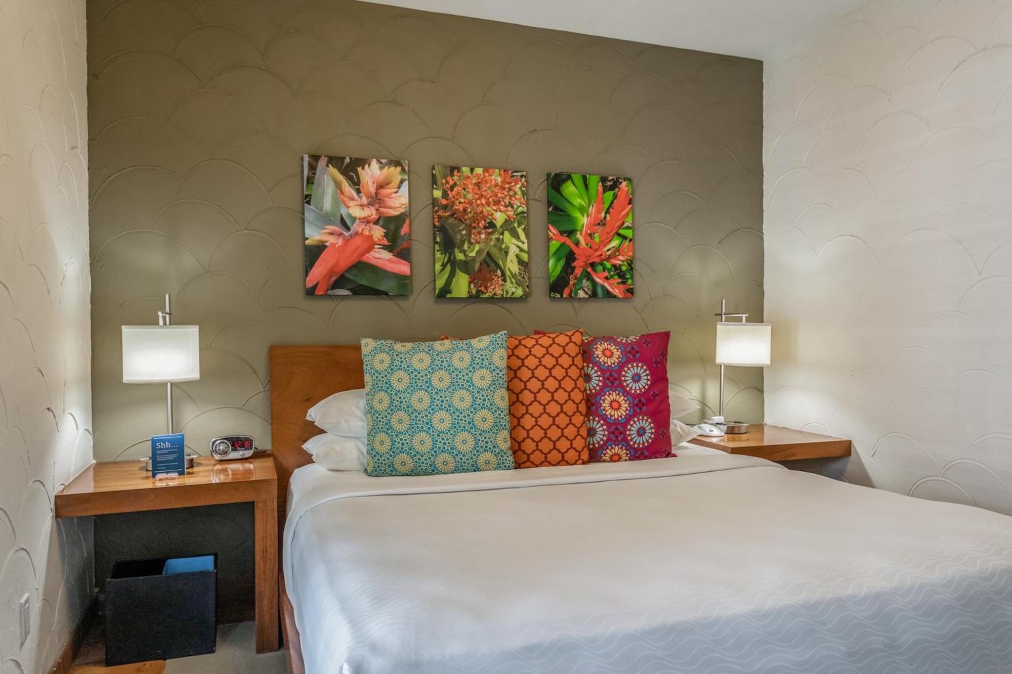 Kasa El Paseo Miami Beach Chambre photo
